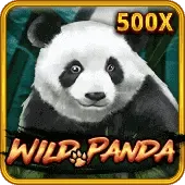 တောရိုင်းပန်ဒါ game icon